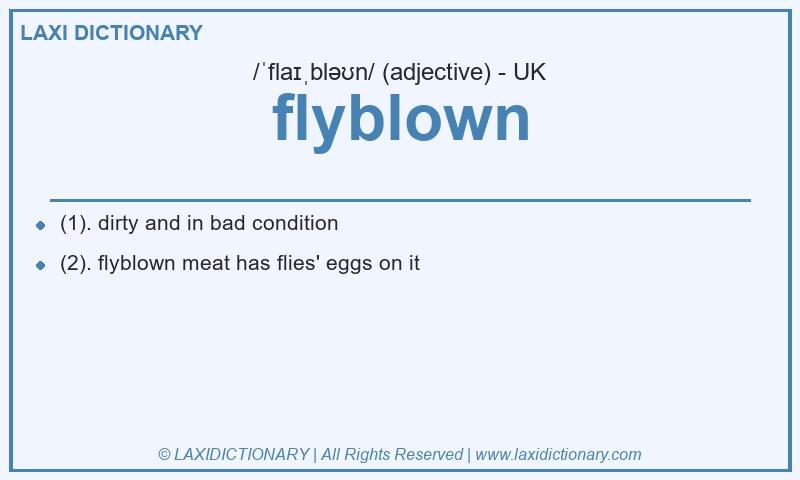 Definition flyblown in British English