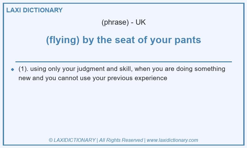 Definition (flying) by the seat of your pants in British English
