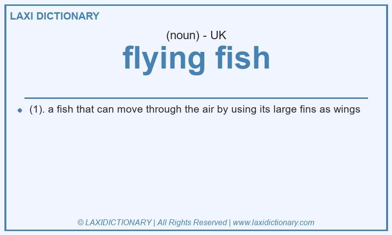 Definition flying fish in British English