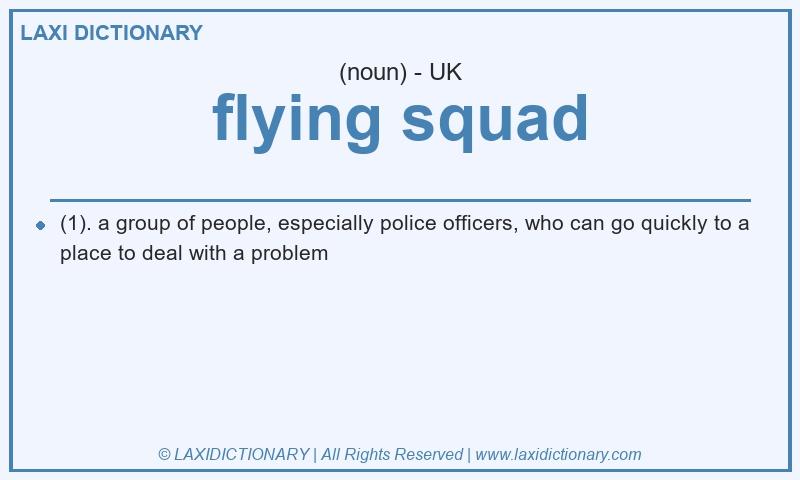 Definition flying squad in British English