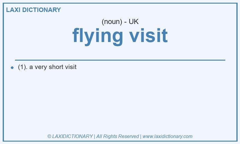 Definition flying visit in British English