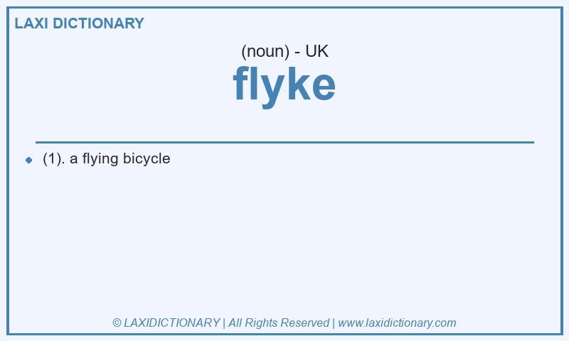 Definition flyke in British English