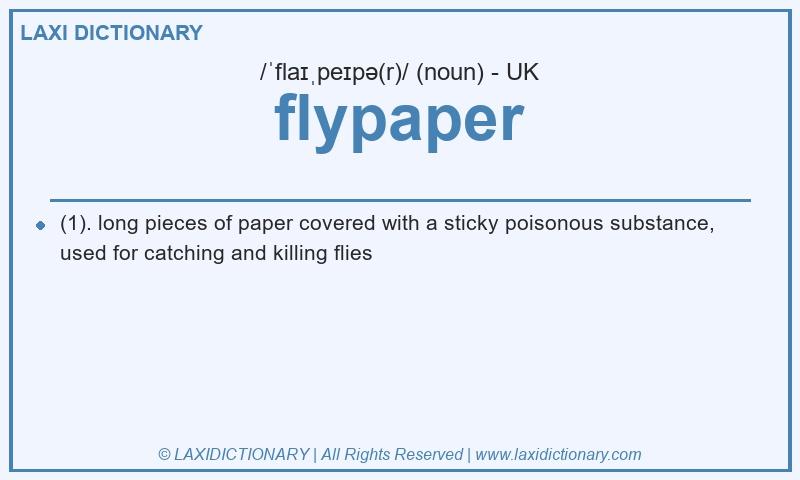 Definition flypaper in British English