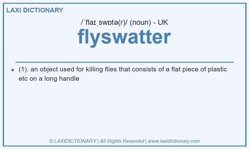Definition flyswatter in British English