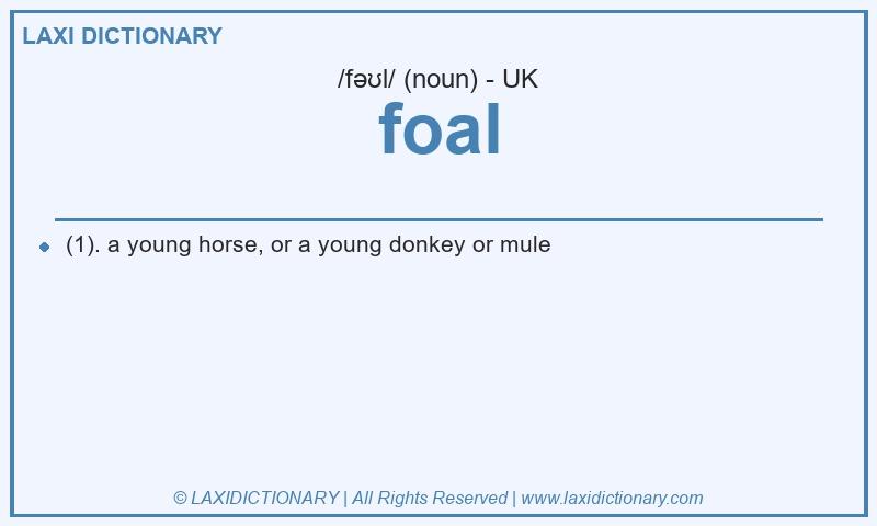 Definition foal in British English