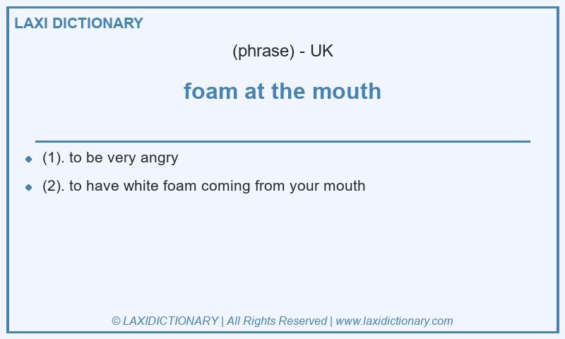 Definition foam at the mouth in British English