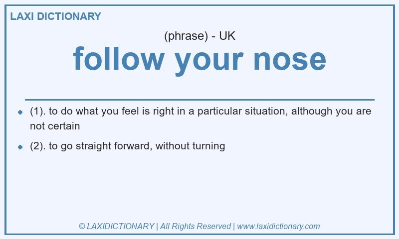 Definition follow your nose in British English