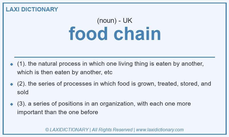 Definition food chain in British English