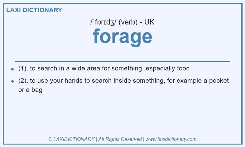 Definition forage in British English