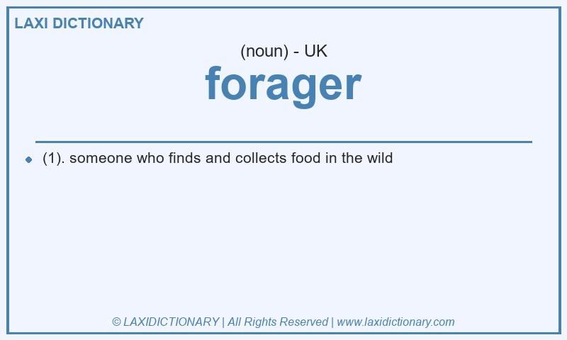 Definition forager in British English
