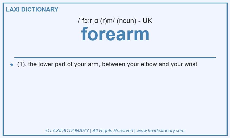 Definition forearm in British English