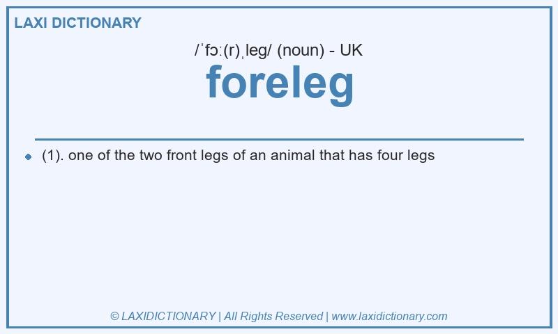 Definition foreleg in British English