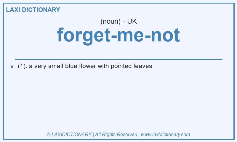 Definition forget-me-not in British English