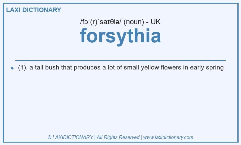 Definition forsythia in British English
