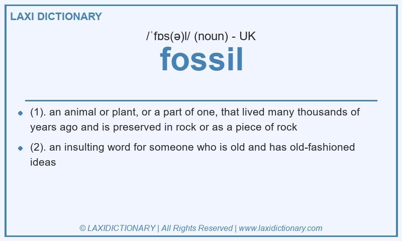Definition fossil in British English