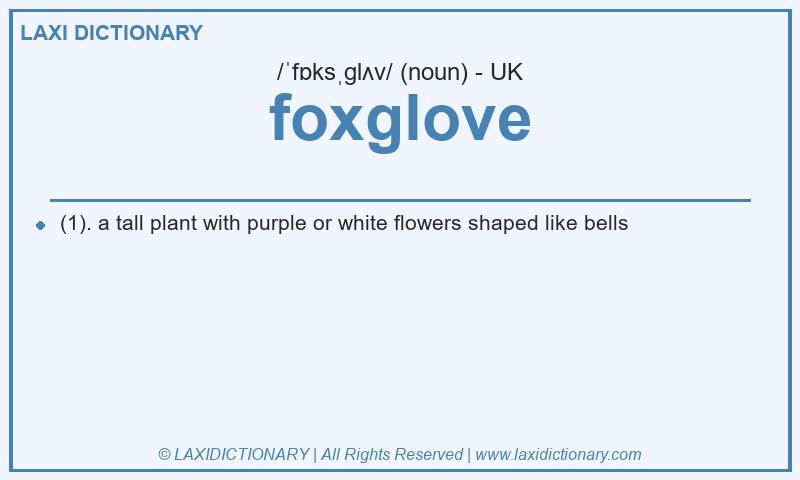 Definition foxglove in British English