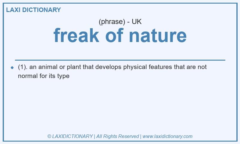 Definition freak of nature in British English