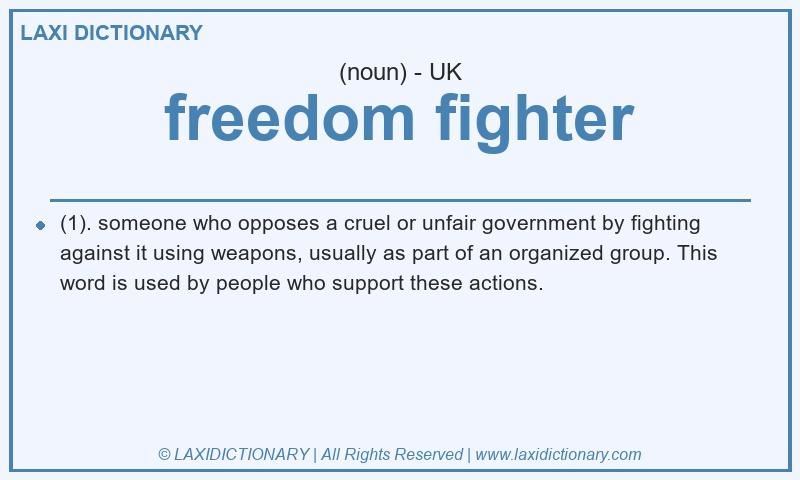 Definition freedom fighter in British English
