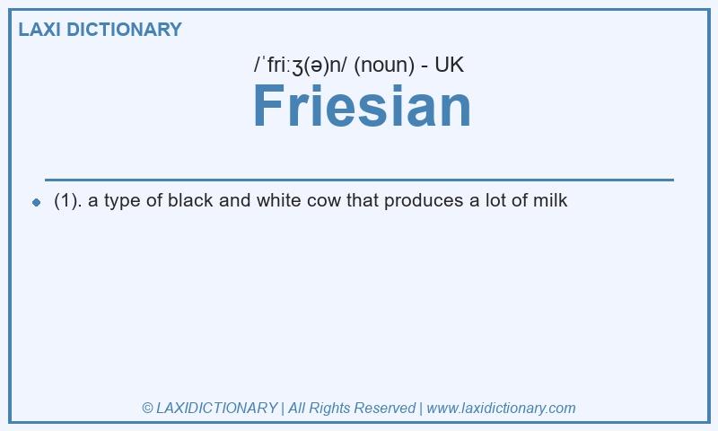 Definition Friesian in British English