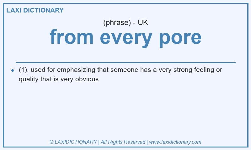 Definition from every pore in British English