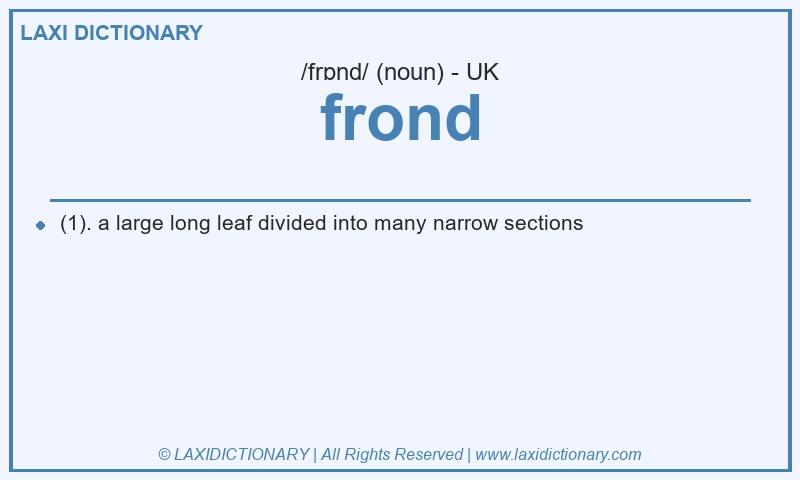 Definition frond in British English