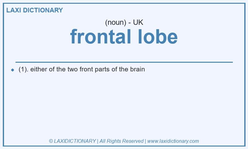 Definition frontal lobe in British English