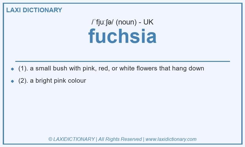 Definition fuchsia in British English