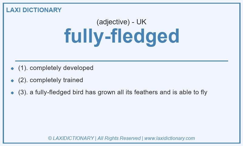 Definition fully-fledged in British English