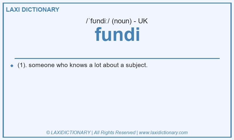 Definition fundi in British English