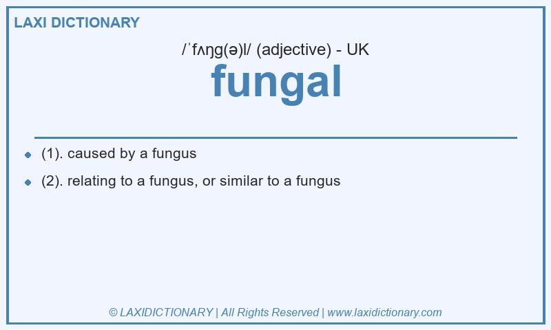 Definition fungal in British English