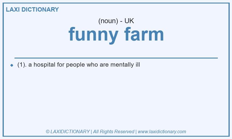 Definition funny farm in British English