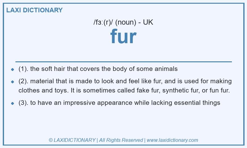 Definition fur in British English