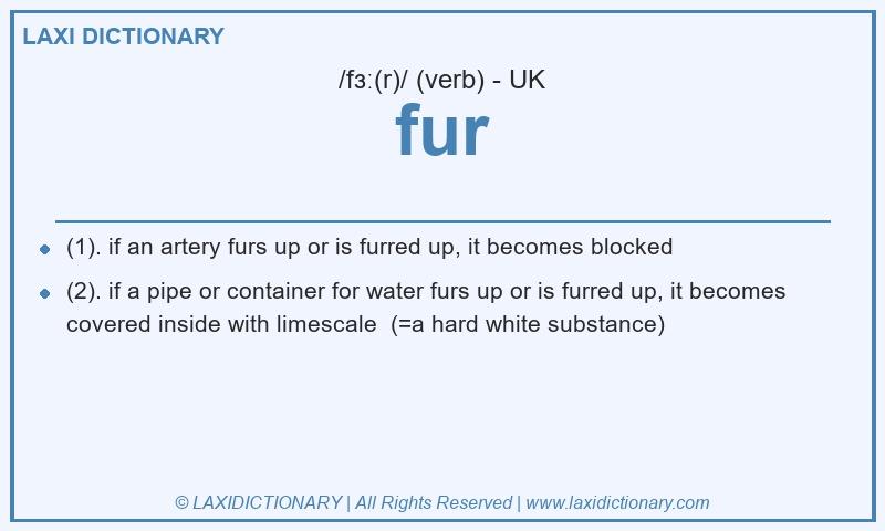 Definition fur in British English