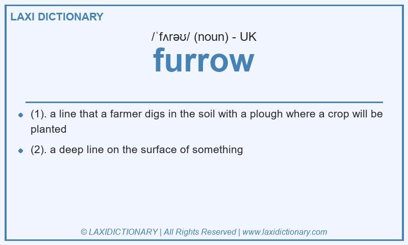 Definition furrow in British English