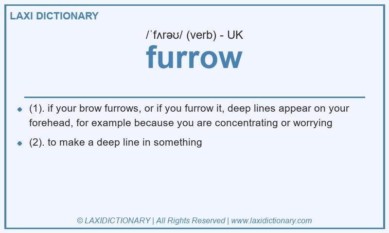 Definition furrow in British English