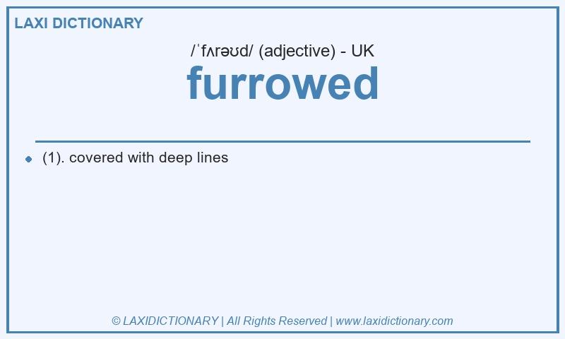 Definition furrowed in British English