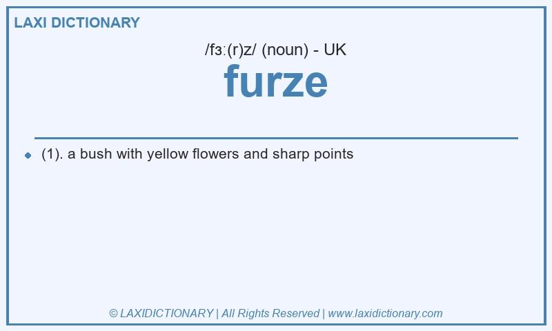 Definition furze in British English