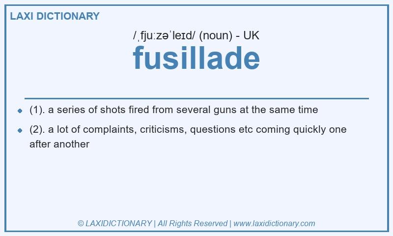 Definition fusillade in British English