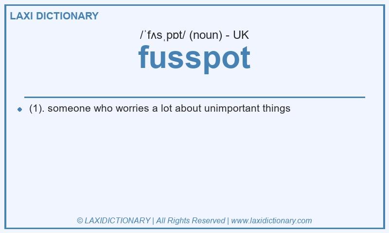 Definition fusspot in British English