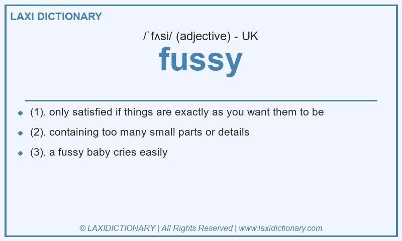 Definition fussy in British English