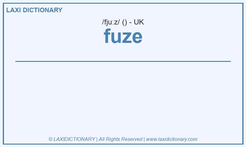 Definition fuze in British English