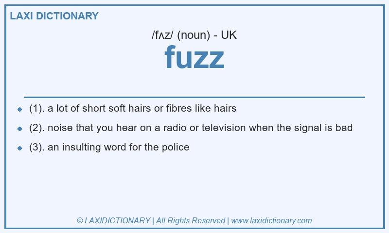 Definition fuzz in British English