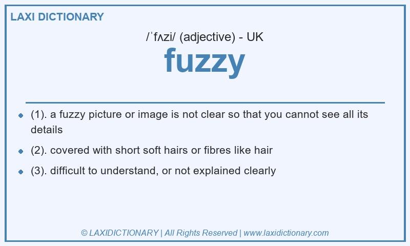 Definition fuzzy in British English