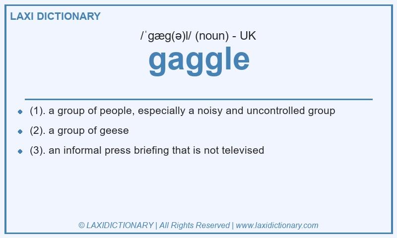 Definition gaggle in British English
