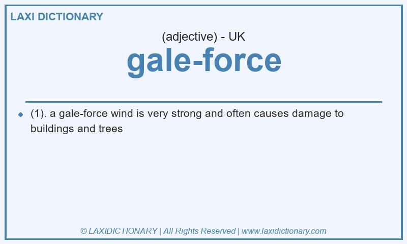 Definition gale-force in British English