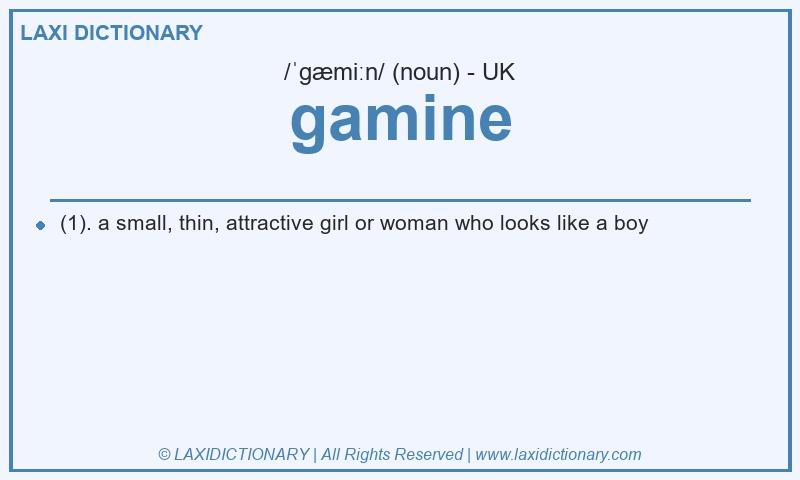 Definition gamine in British English