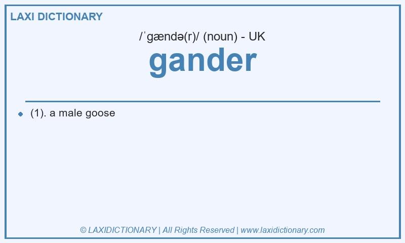 Definition gander in British English