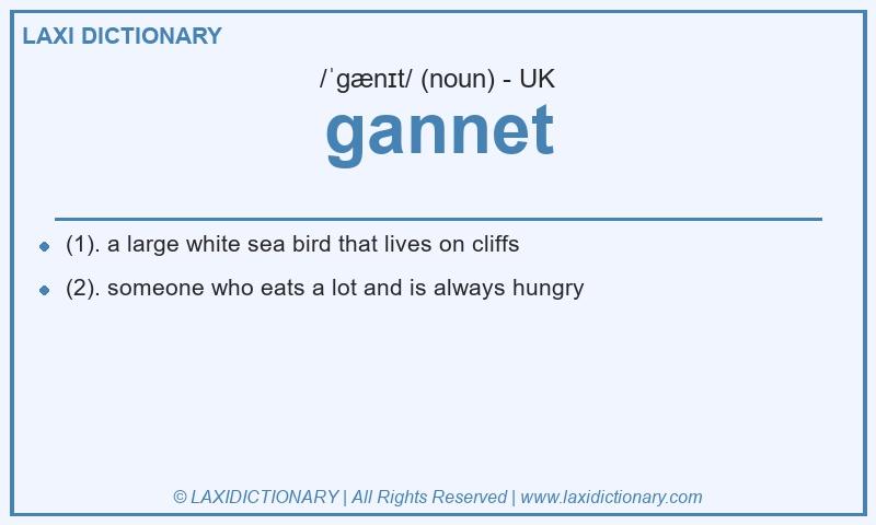 Definition gannet in British English