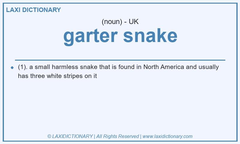 Definition garter snake in British English