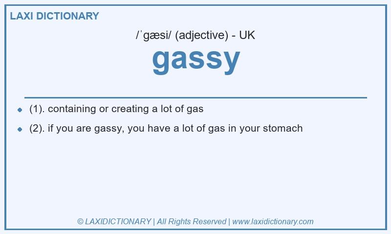 Definition gassy in British English